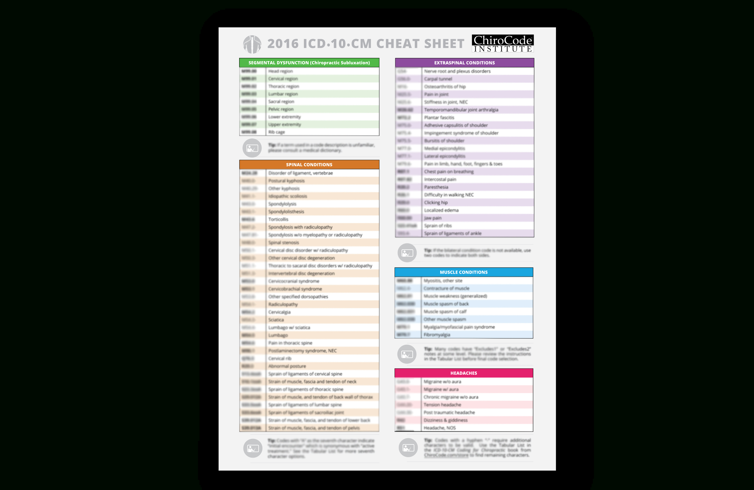 Pin On Coding Inside Chiropractic Travel Card Template