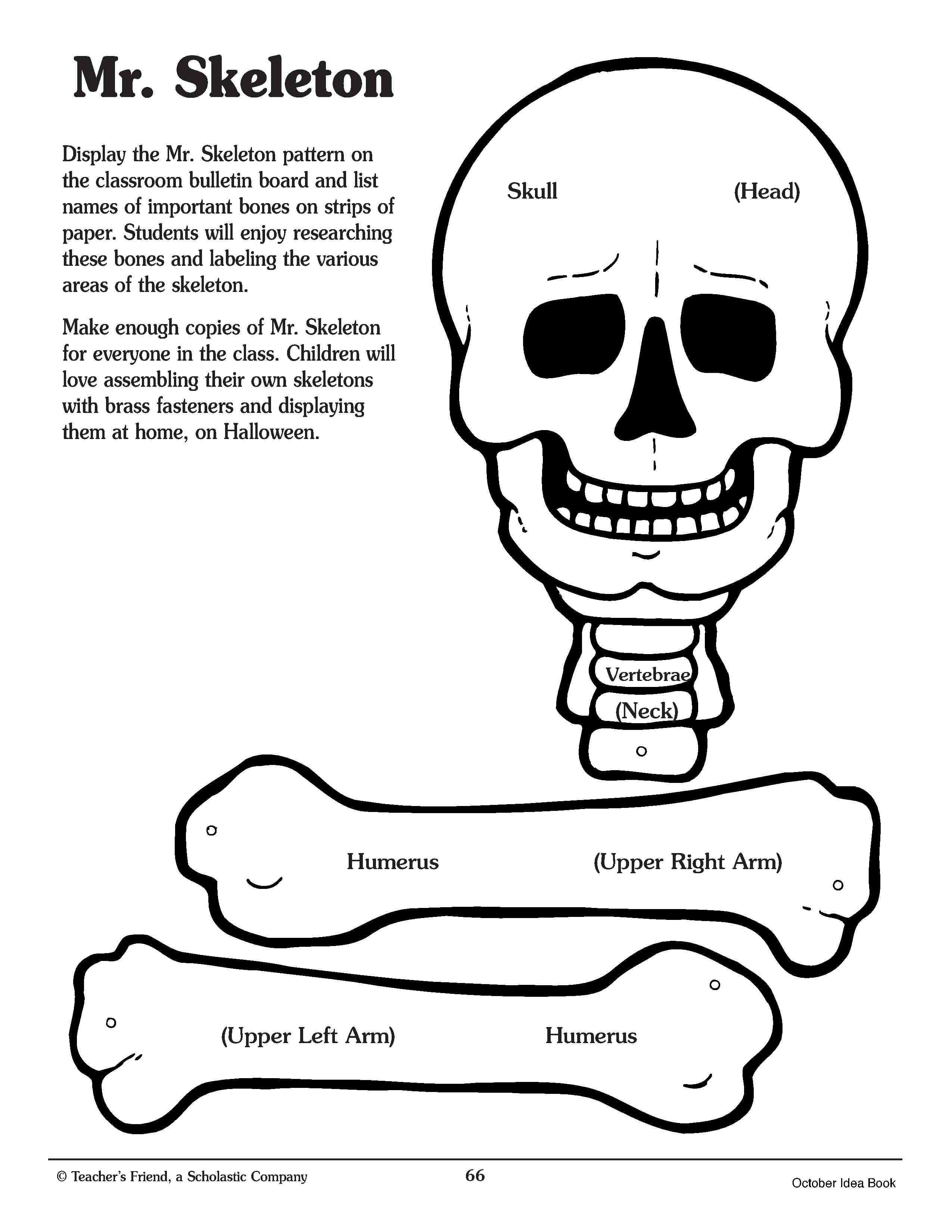 Pin On For The Classroom Intended For Skeleton Book Report Template