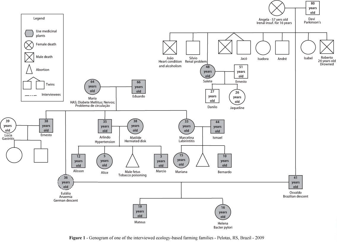 Pindee On Design | Social Work Practice, Counseling For Family Genogram Template Word