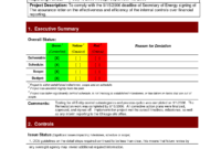 Pinlesedi Matlholwa On Templates | Project Status Report for Project Daily Status Report Template
