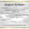 Pinselena Bing Perry On Certificates | Certificate For Baptism Certificate Template Download