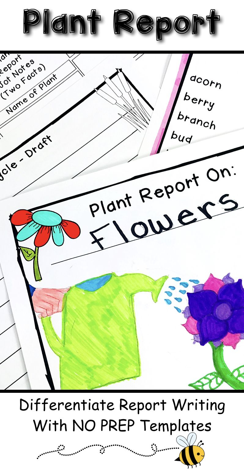 Plant Research Project – Report Writing Templates In Research Project Report Template