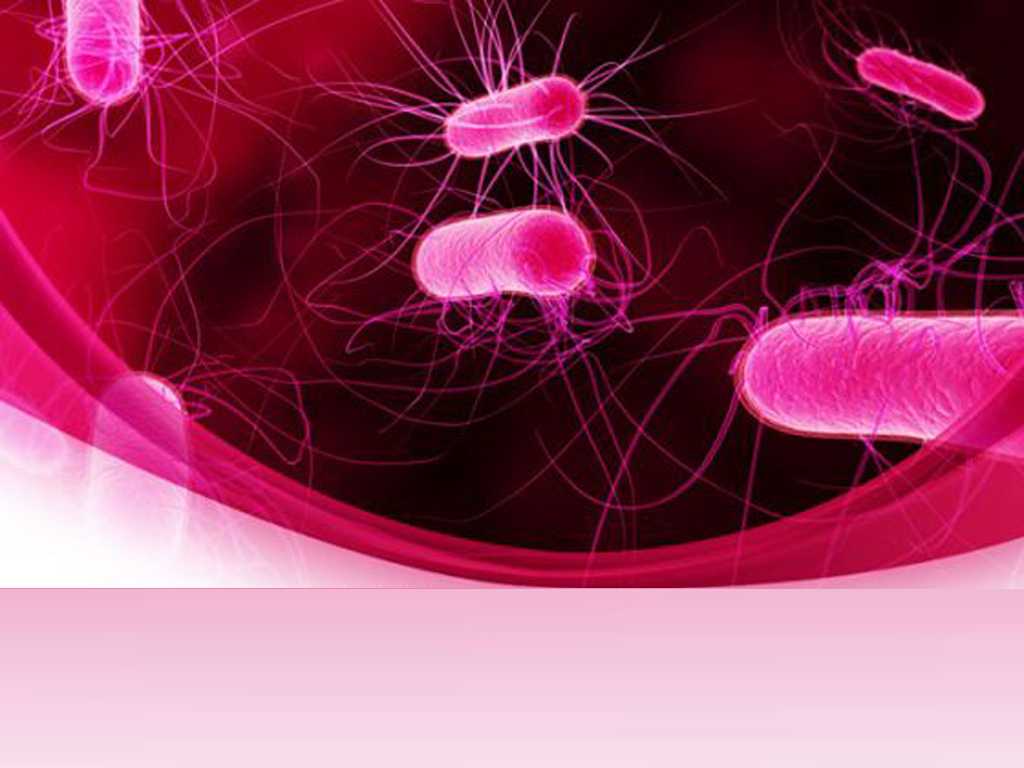 Powerpoint Bacteria Templates For Powerpoint Presentations With Regard To Virus Powerpoint Template Free Download