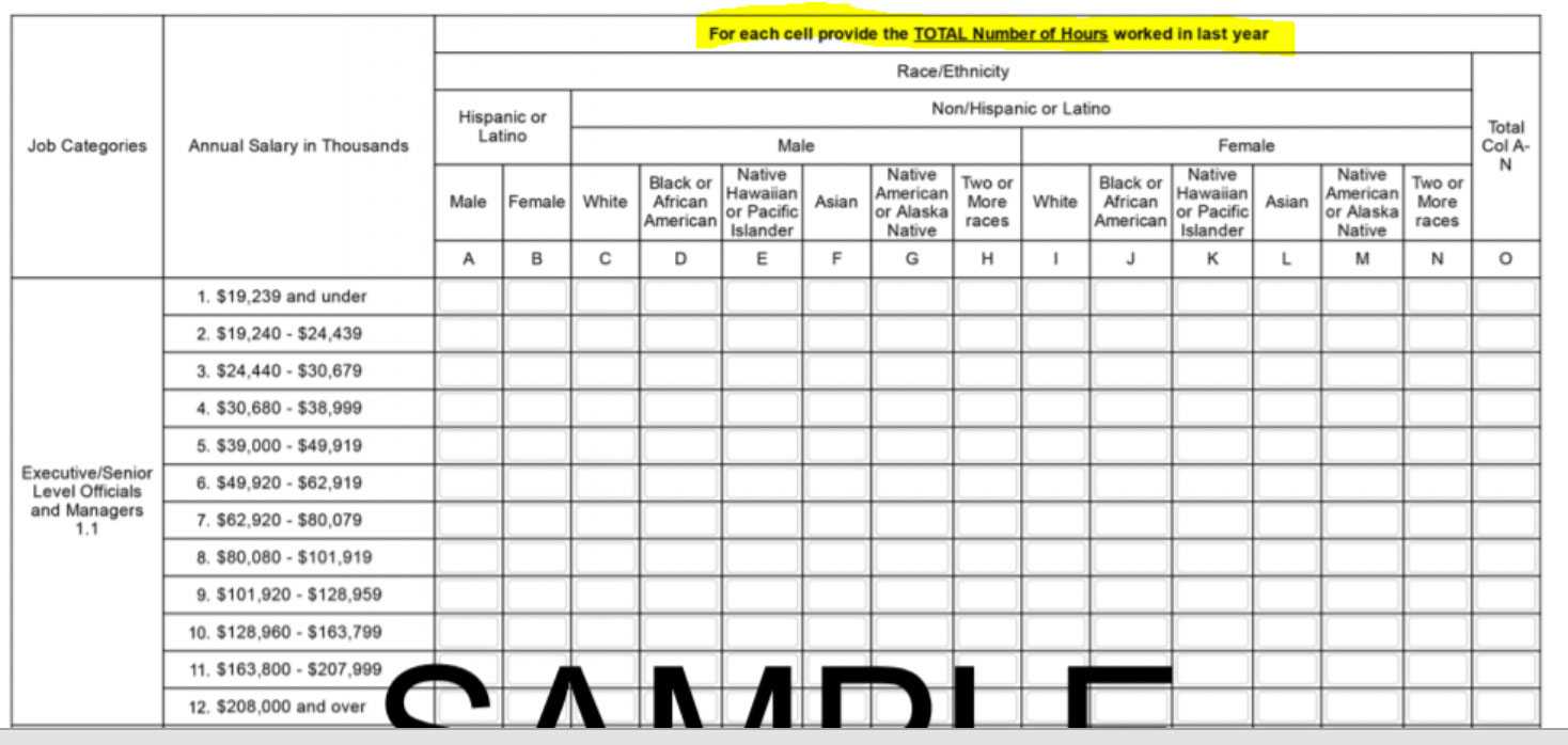 Prepare Now For Next Eeo 1 Component With Regard To Eeo 1 Report Template