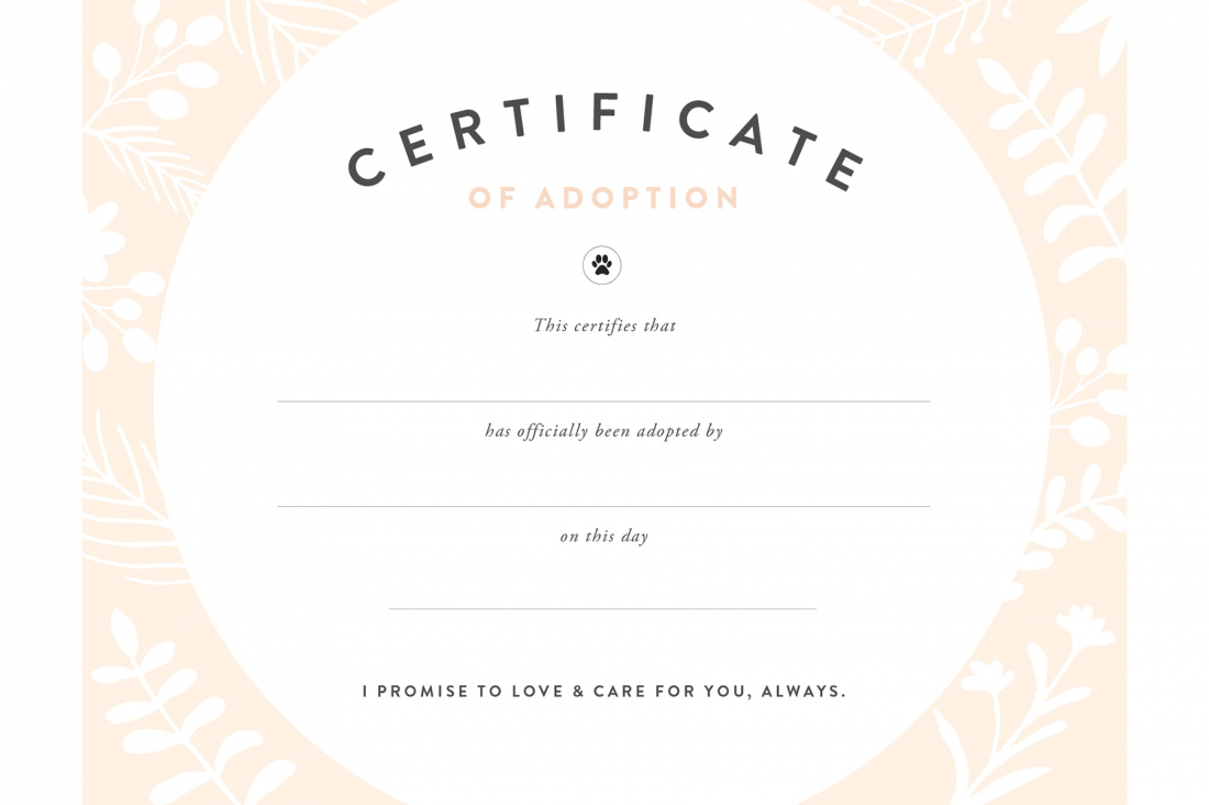 Pretty Fluffy Inside Blank Adoption Certificate Template For Blank Adoption Certificate Template