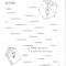 Printable Book Report Forms | Miss Murphy's 1St And 2Nd Intended For 2Nd Grade Book Report Template