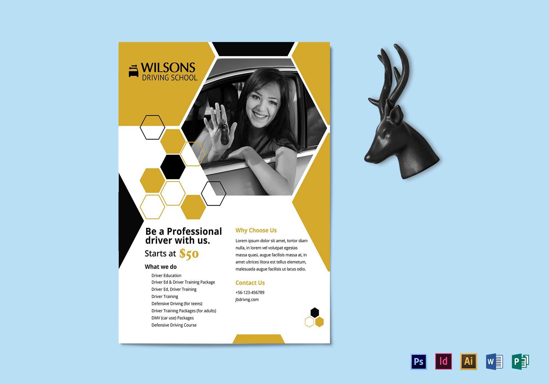 Professional Driving School Flyer Template With School Brochure Design Templates