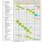 Project Management Financial Reporting Templates Audit Regarding Project Status Report Template Word 2010