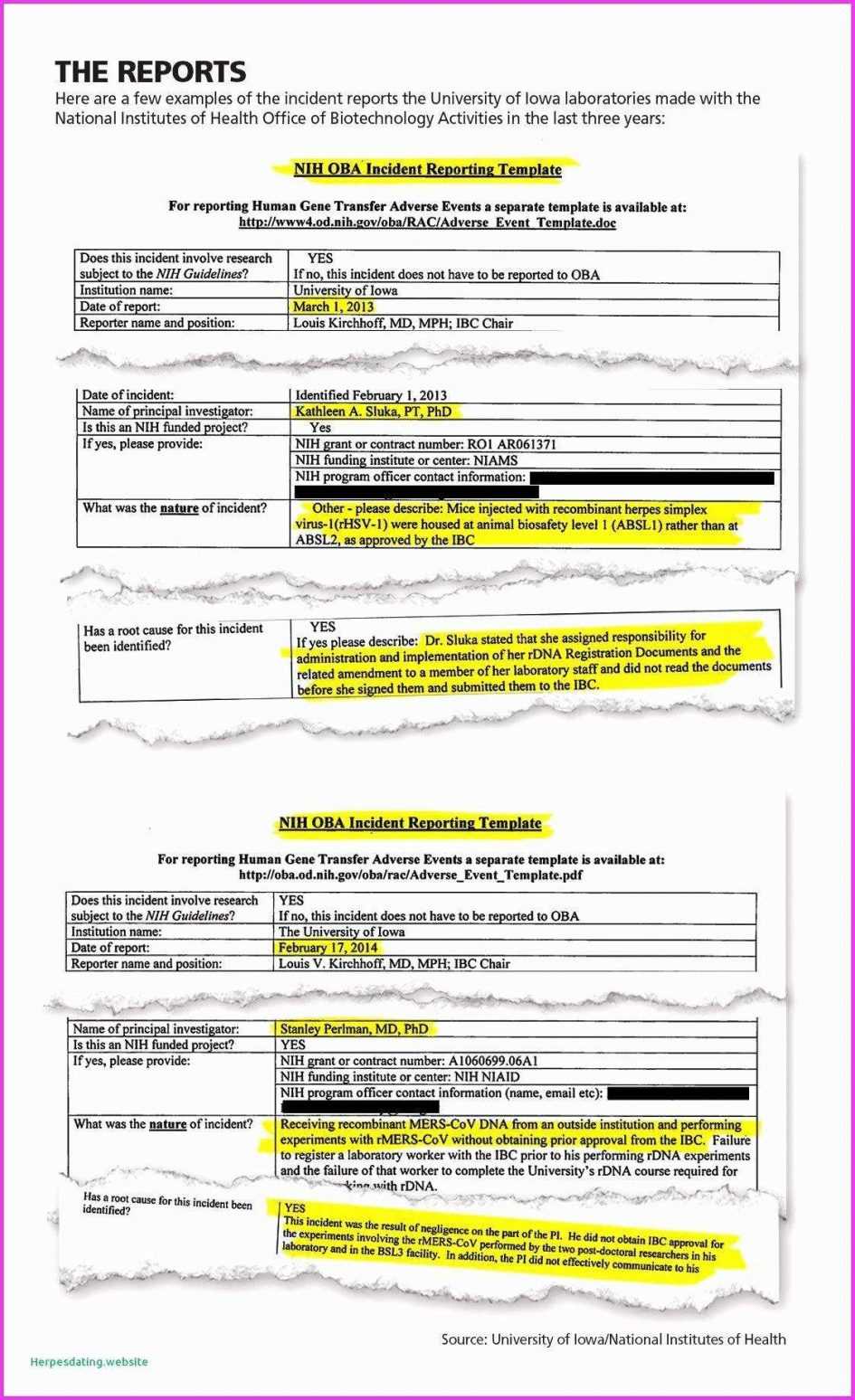 Project Management. Project Management Report Template Pertaining To Research Project Progress Report Template