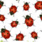 Realistic Detailed Insect Ladybug Seamless Pattern Intended For Blank Ladybug Template