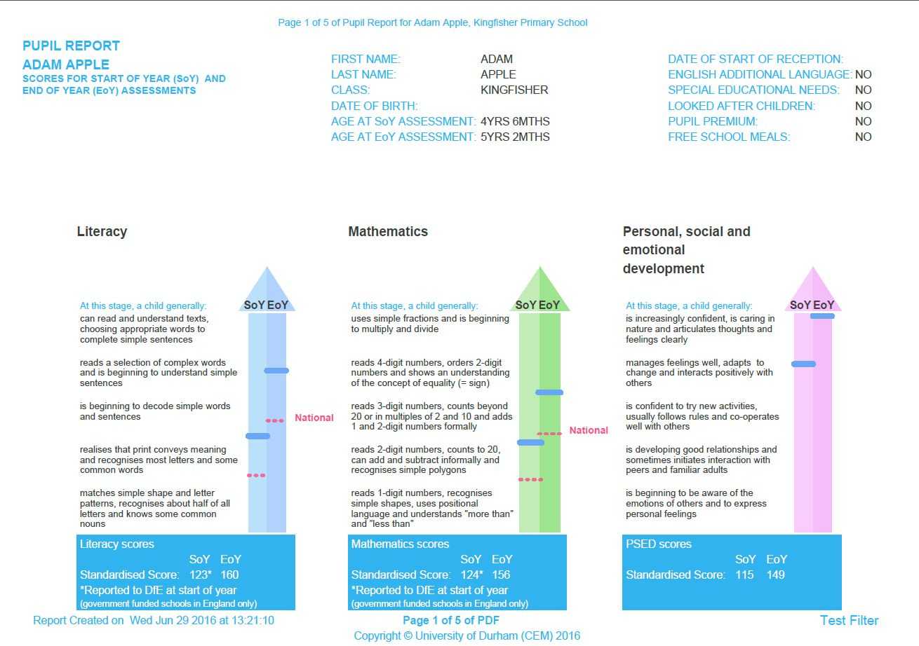 Reporting & Feedback – Cem With Pupil Report Template