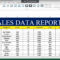Sales Excel – Corto.foreversammi Regarding Sale Report Template Excel