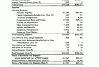 Sample Annual Financial Report Format Project Statement regarding Credit Analysis Report Template