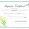 Sample Baptism Certificate Templates | Sample Certificate Within Baptism Certificate Template Download