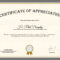 Sample Company Appreciation Certificate Template Within Thanks Certificate Template