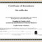 Sample Computer Course Completion Certificate Fres Beautiful For Beautiful Certificate Templates