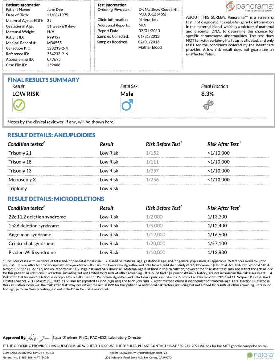 Sample Report Examples For Panorama With Dr Test Report Template