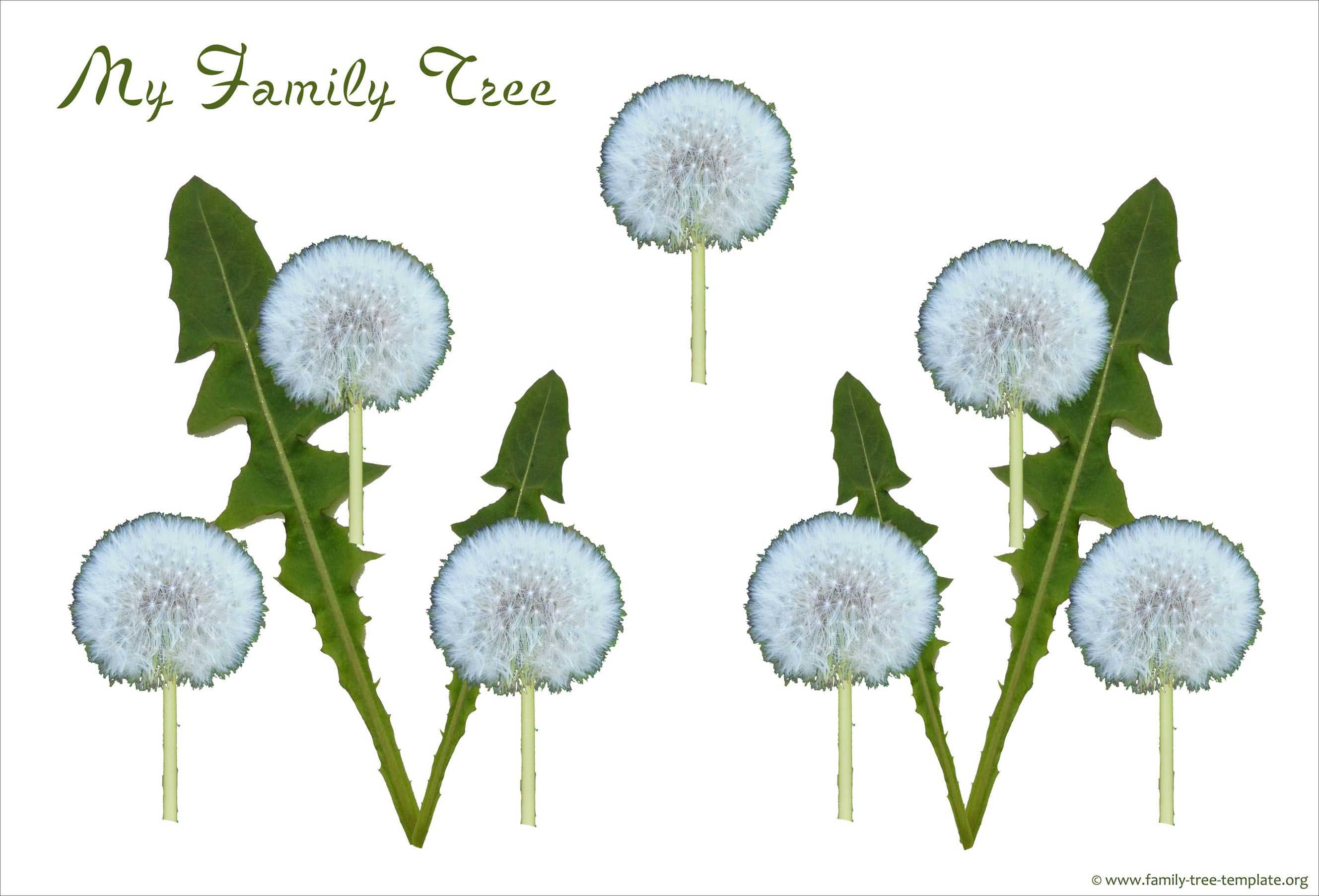 Simple Family Tree With 3 Generations For The Small Child Inside Blank Family Tree Template 3 Generations