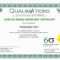 Six Sigma Black Belt Certificate Template – Carlynstudio Inside Green Belt Certificate Template