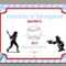 Softball Certificate Templates – Atlantaauctionco With Regard To Softball Certificate Templates