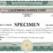 Stock Certificate Template – Www.toib.tk With Corporate Share Certificate Template