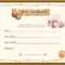 Teddy Bear Birth Certificate | Teddy Bear Tea | Birth For Baby Doll Birth Certificate Template