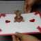 Teddy Bear Pop Up Card: Tutorial Within Teddy Bear Pop Up Card Template Free