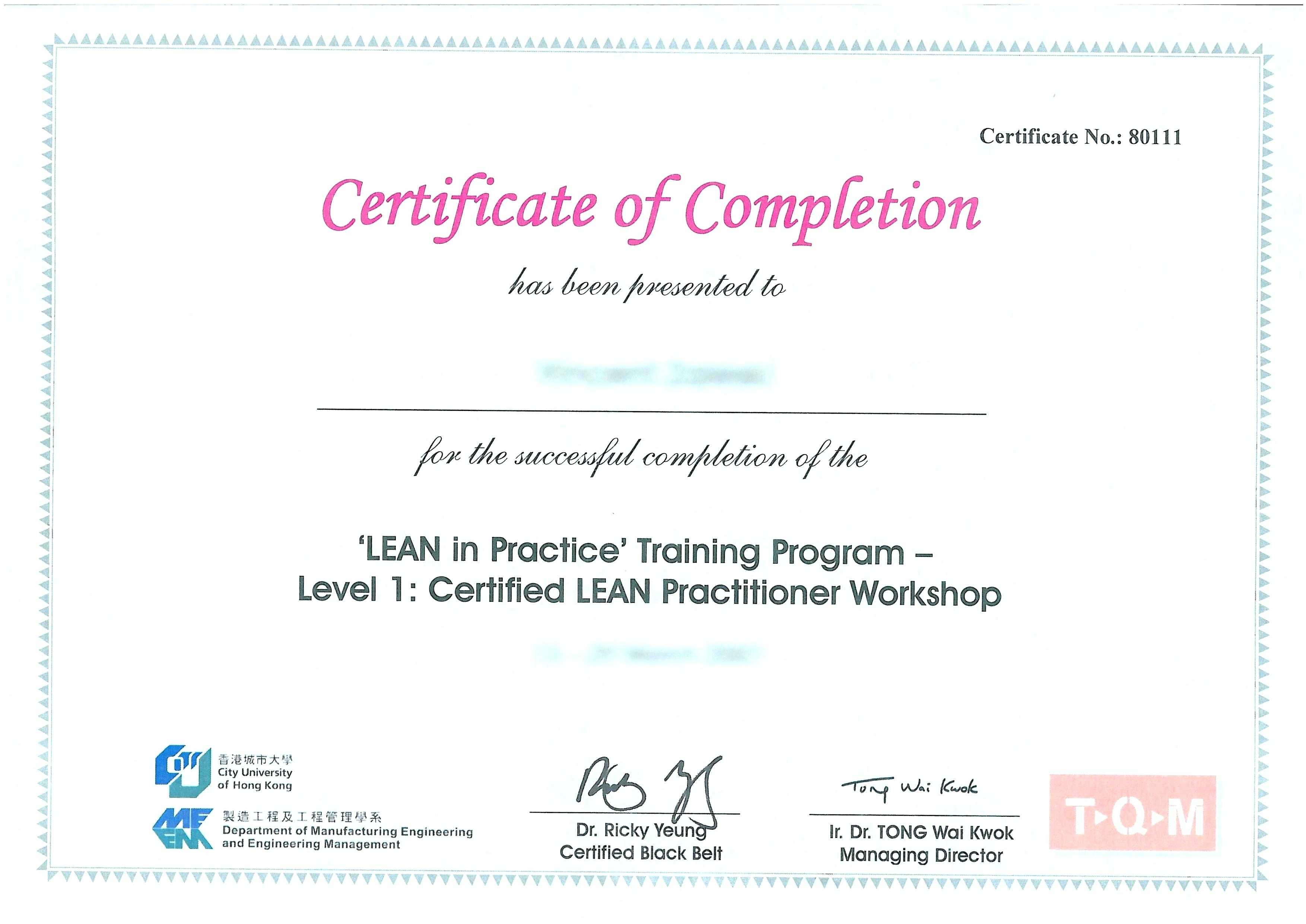 Training Certificate Template Free Download Black Belt Within Template For Training Certificate