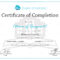 Training Completion Certificate Template Intended For Template For Training Certificate