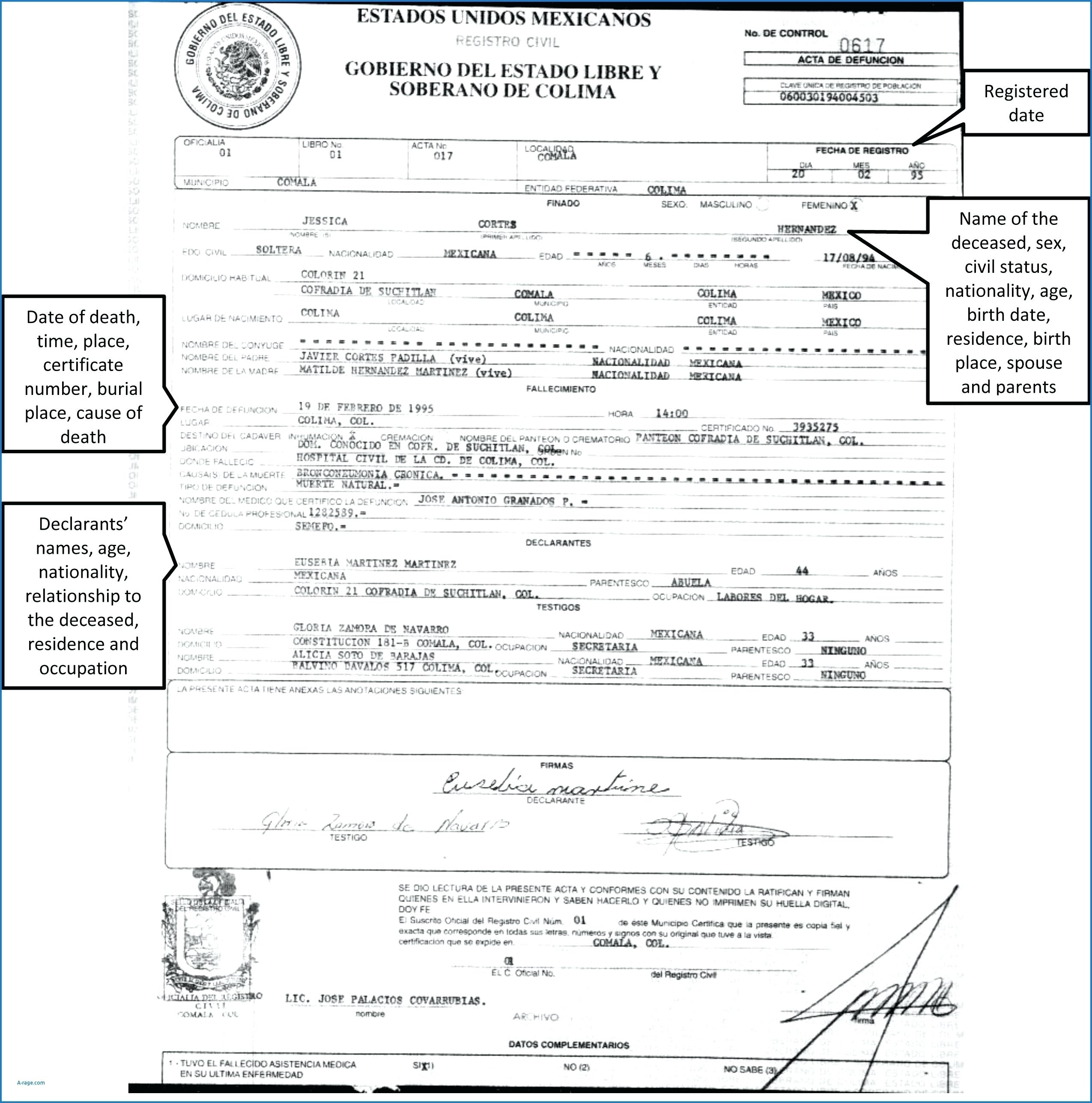Translation Of Birth Certificate Template – Verypage.co Within Novelty Birth Certificate Template
