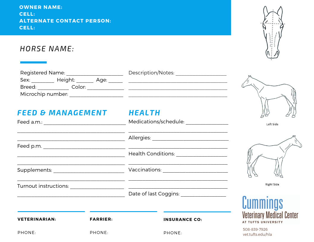 Travel Confidently | News At Cummings School Of Veterinary For Horse Stall Card Template