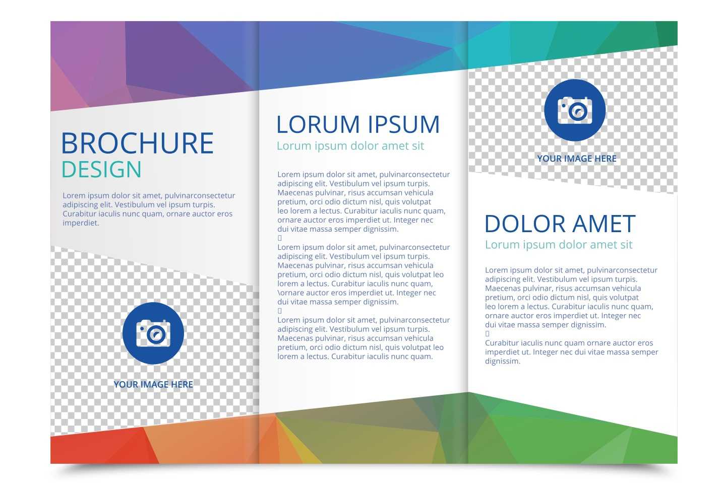 Tri Fold Brochure Vector Template – Download Free Vectors For 3 Fold Brochure Template Free