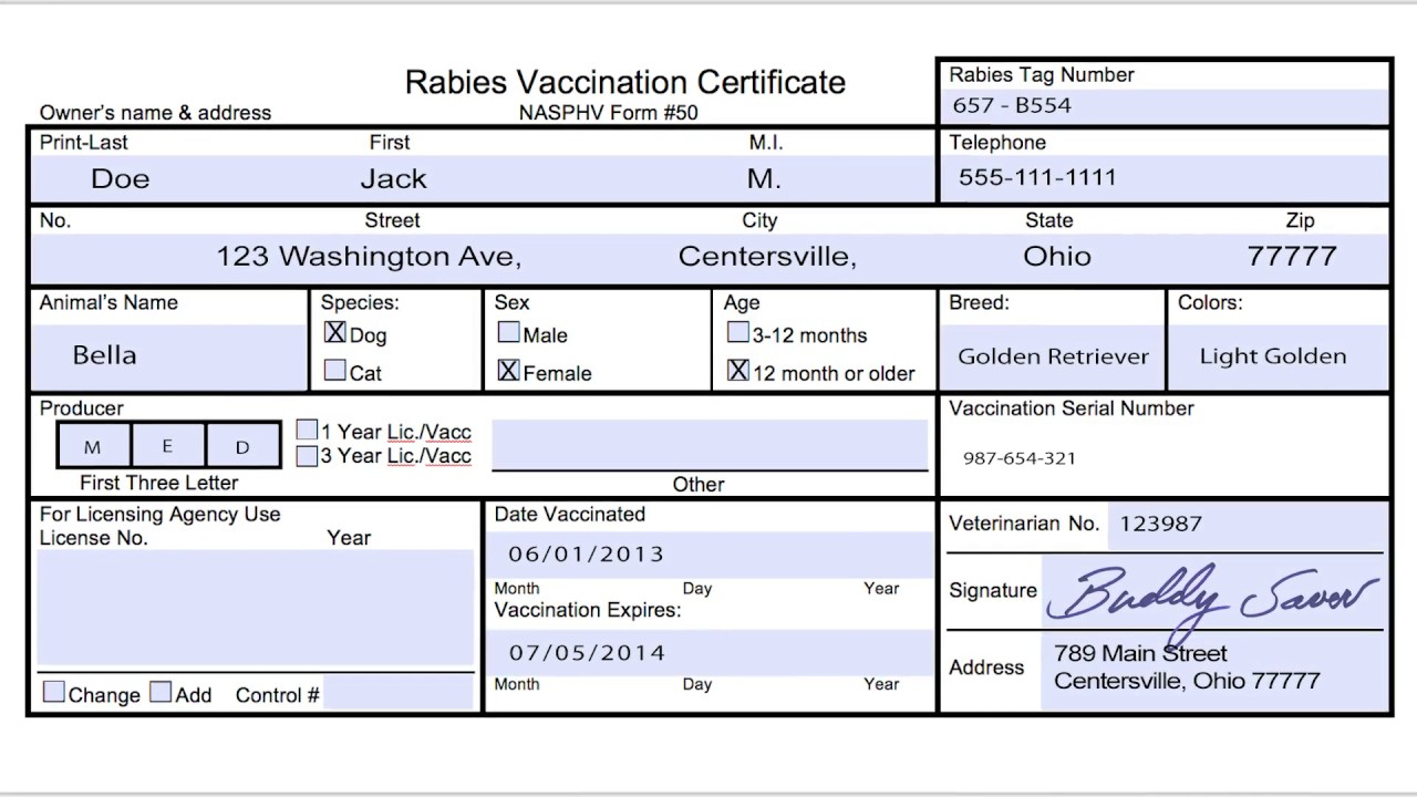 Usda Aphis | Travel Documentation – Rabies Vaccination With Regard To Rabies Vaccine Certificate Template