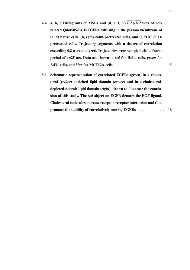 Project Report Template Latex