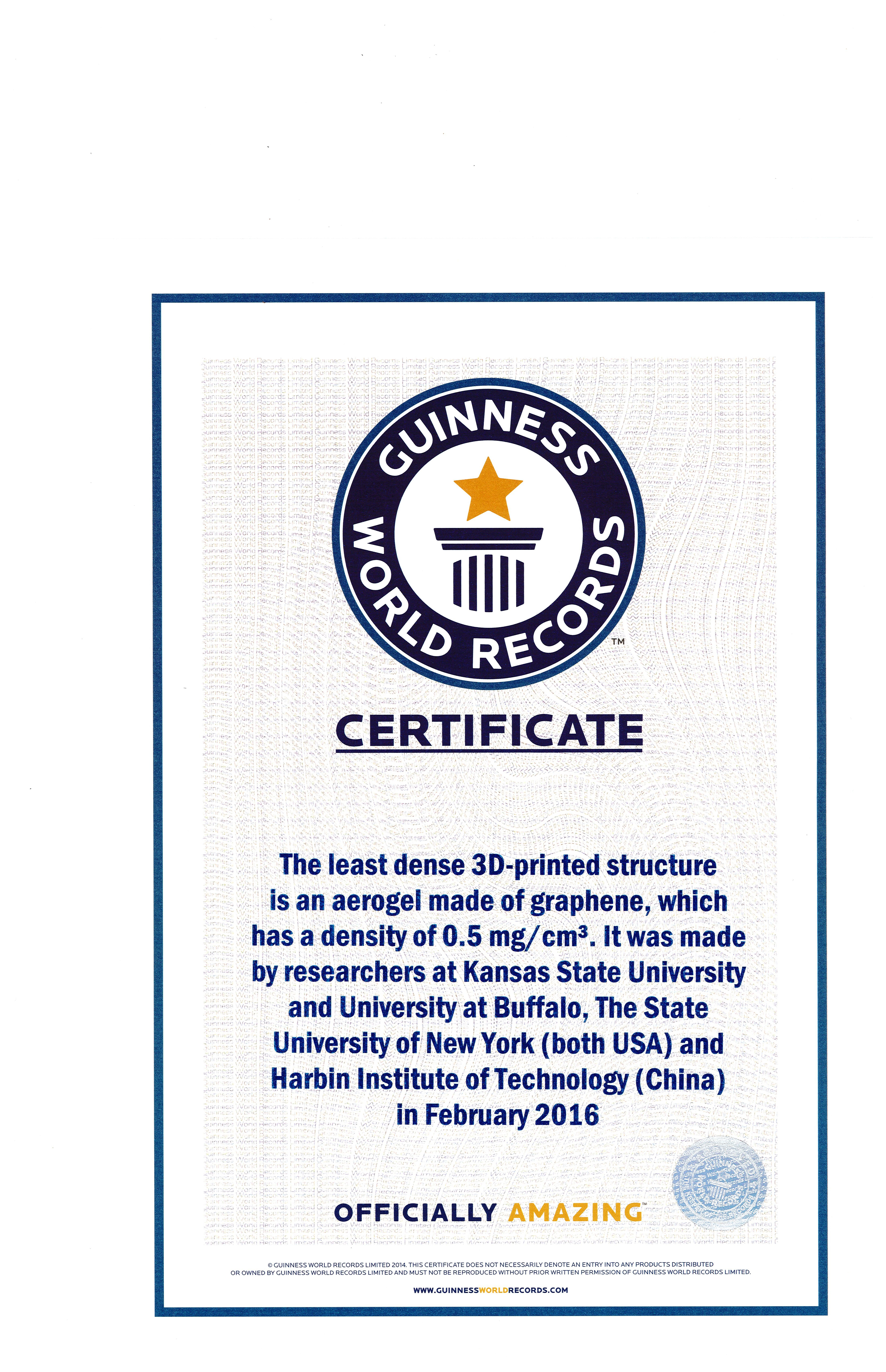 World Record Certificate Template – Thenerveonline Throughout Guinness World Record Certificate Template