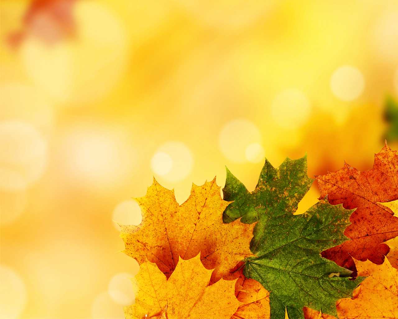 Yellow Autumn Backgrounds For Powerpoint – Nature Ppt Templates Intended For Free Fall Powerpoint Templates