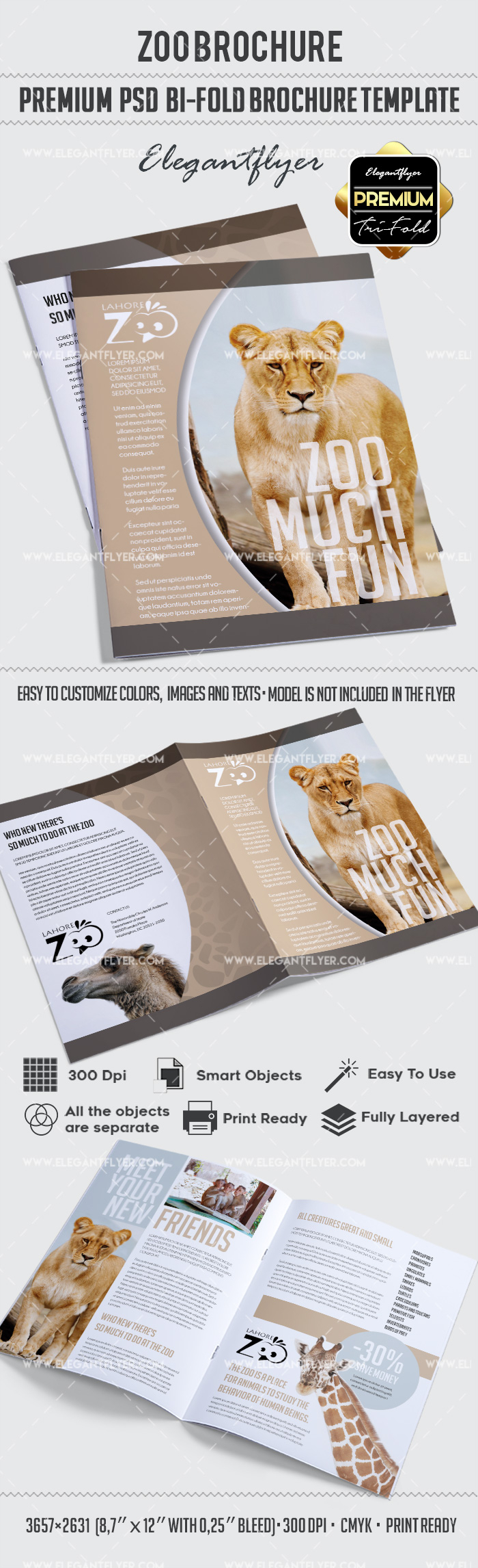 Zoo – Premium Bi Fold Psd Brochure Template Within Zoo Brochure Template